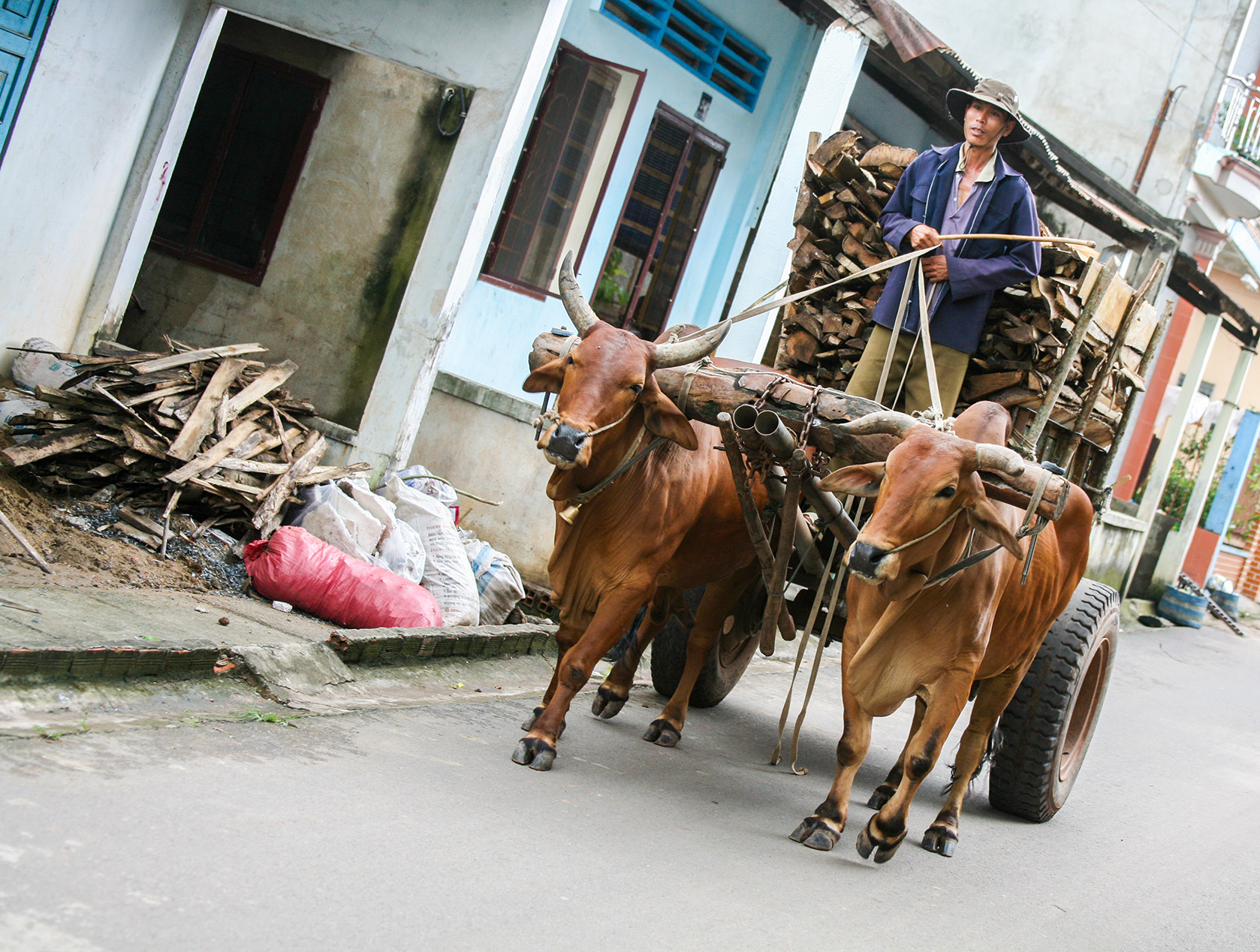 Delta Mekong   015